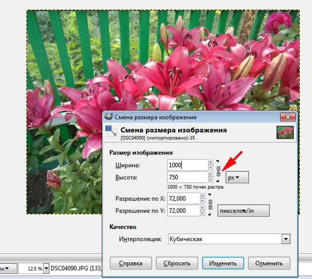 Изменить размер изображения без потери качества. Gimp изменение размера изображения. Как померять размер фото. Как изменить размер в gimp. Как в gimp менять размер изображения.