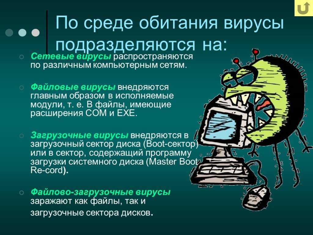 Что могут заразить компьютерные вирусы программы текстовые файлы веб страницы рисунки видео