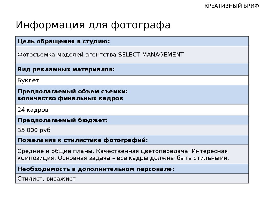 Техническое задание на видеосъемку образец