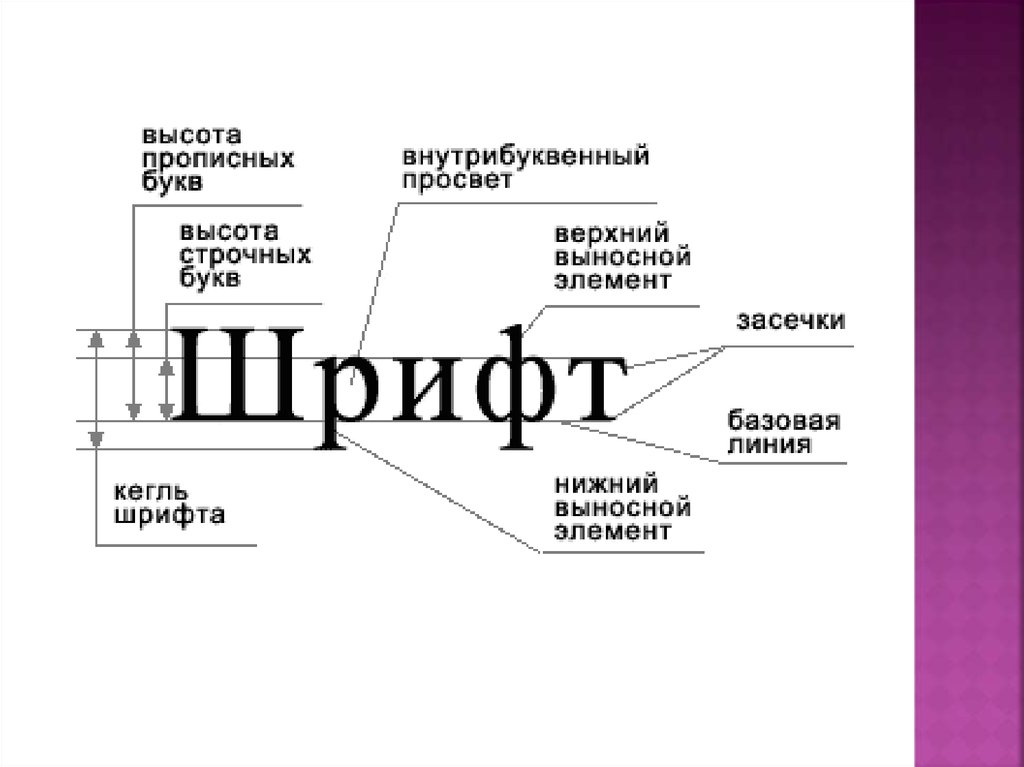 Совокупность 5 букв. Строение буквы в шрифте. Основные элементы шрифта. Элементы букв в шрифтах. Элементы шрифта названия.