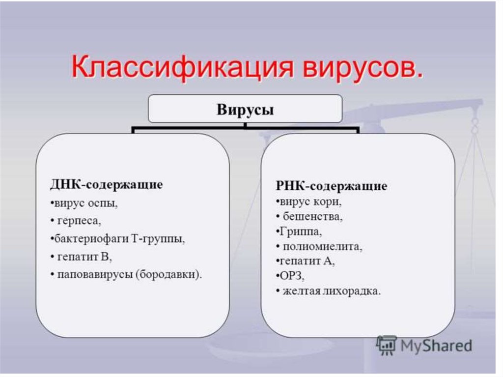 Задание 3 проанализируйте и запишите какие типы файлов подвержены заражению