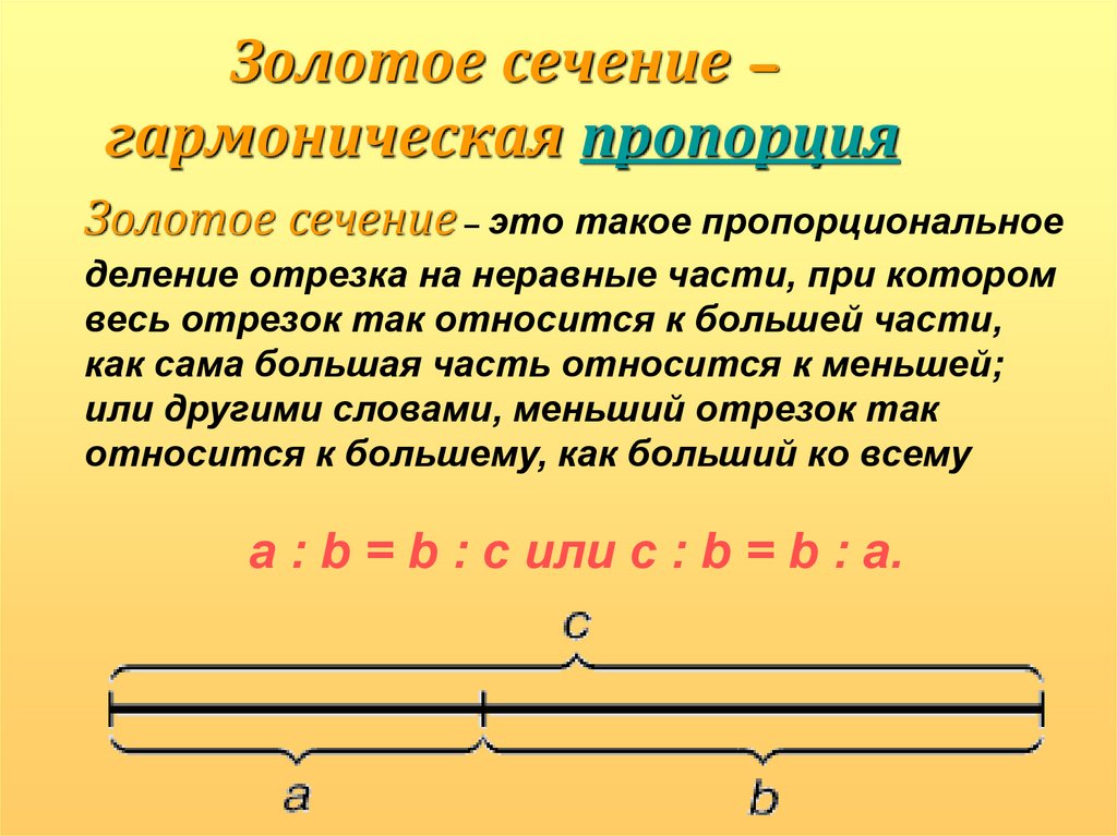 Золотая пропорция в математике проект