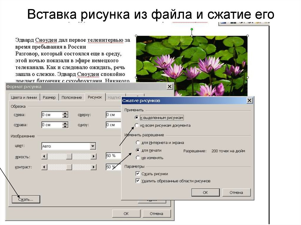 Вставить рисунок на рисунок онлайн