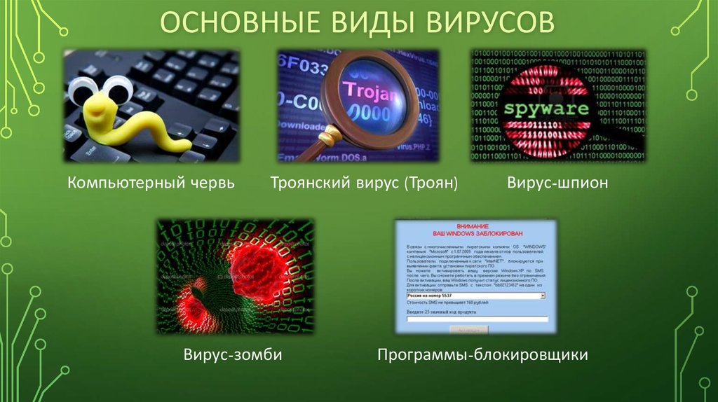 Виды вирусов. Виды компьютерных вирусов. Троян вирус. Какие вирусы существуют на компьютере. Виды вирусов ПК.