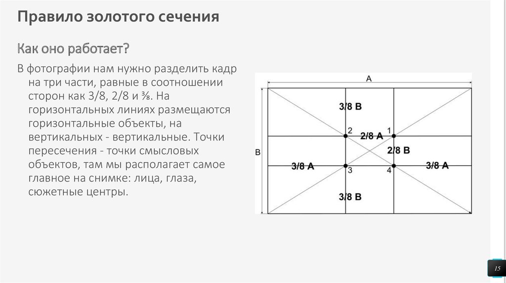 Треть сечения. Правило золотовасечения. Принцип золотого сечения. Правило золотого сечения. Принц золотое сечение.