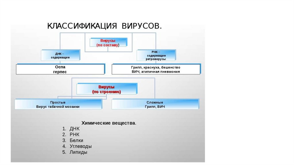 Классификация вирусов схема