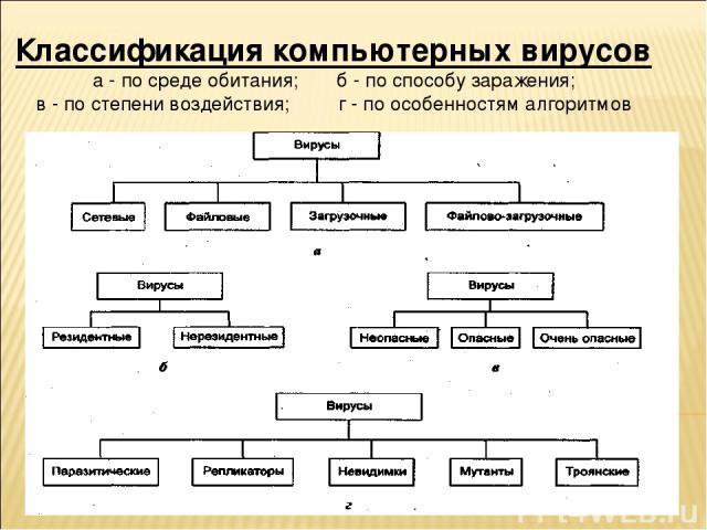 Классификация вирусов схема