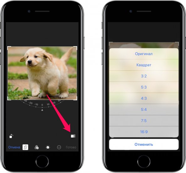 Как обрезать видео на айфоне. Как обрезать фотографию на айфоне. Как обрезать фото на айфоне 11. Обрезать фотографию по кругу на айфон. Обрезка фотографии в телефоне.