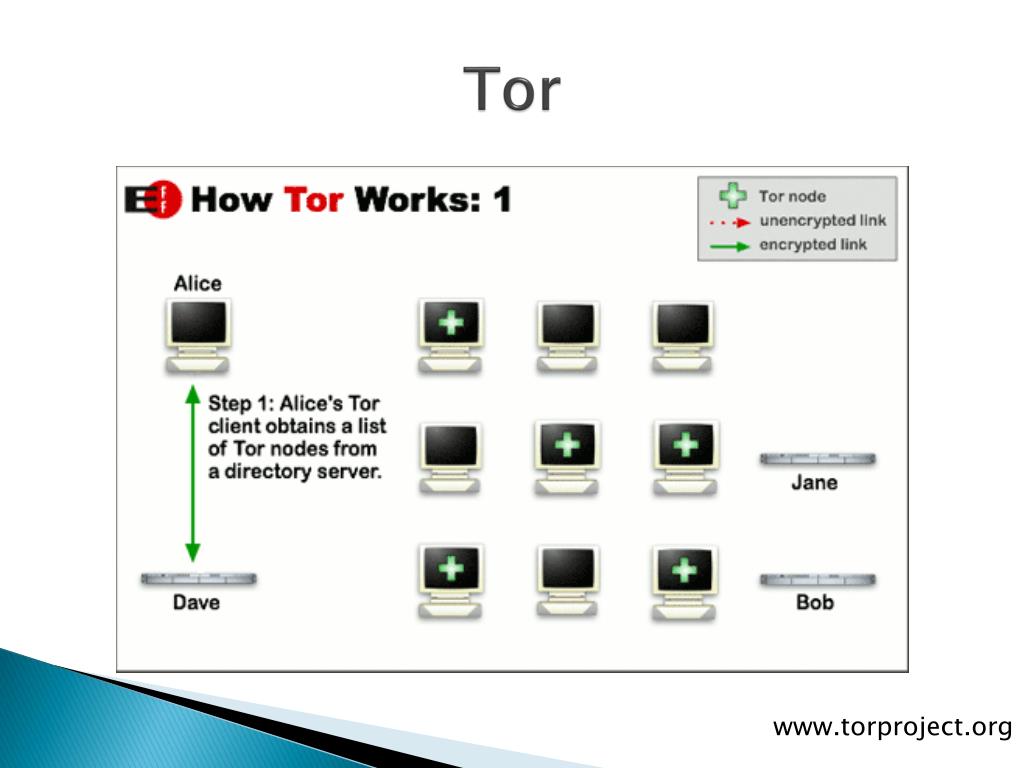 Что такое проект тор