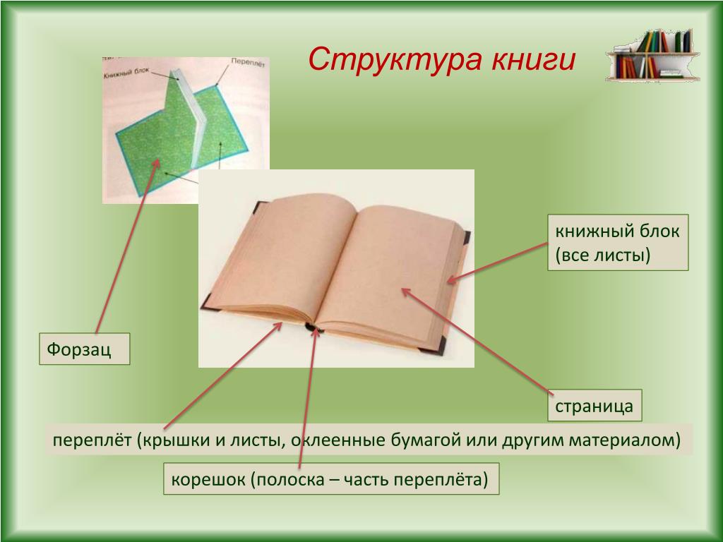 Книга состоит из страниц а презентация из