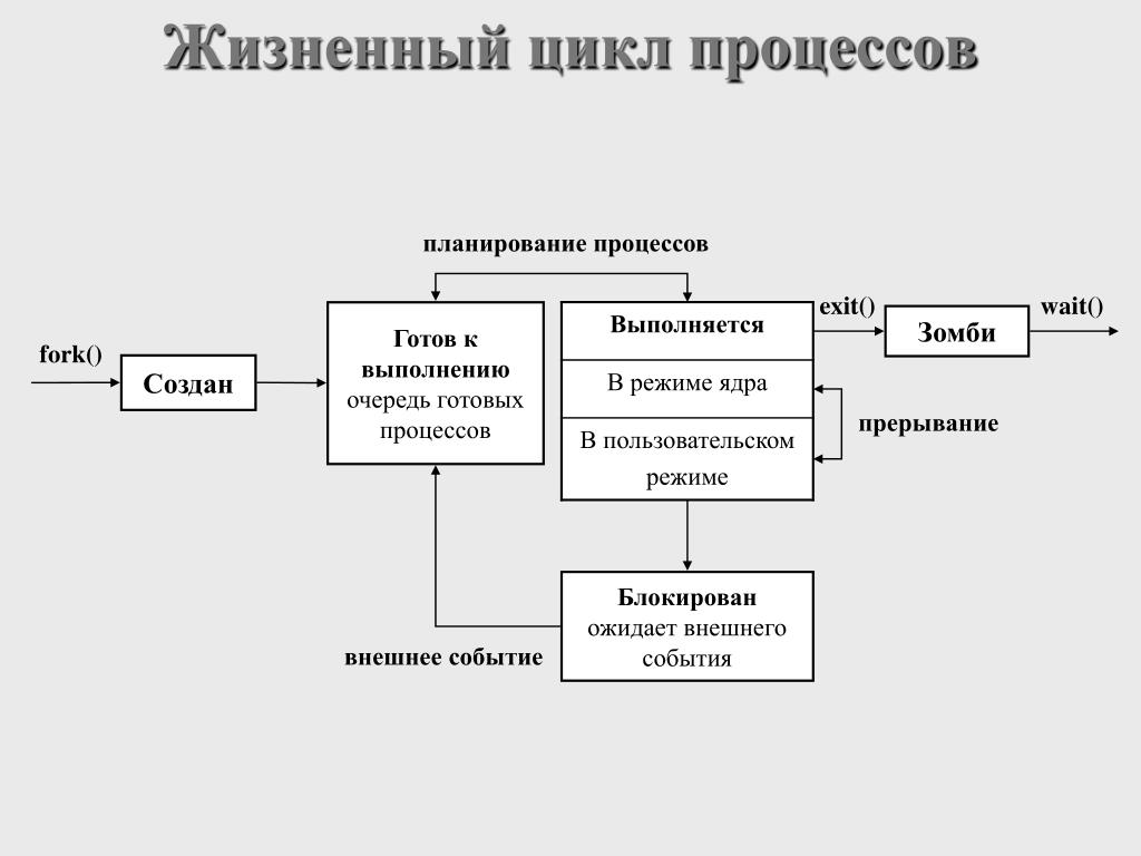 Жизненный цикл бизнес проекта