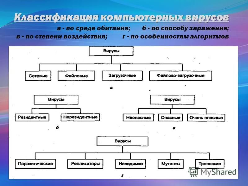 Классификация вирусов