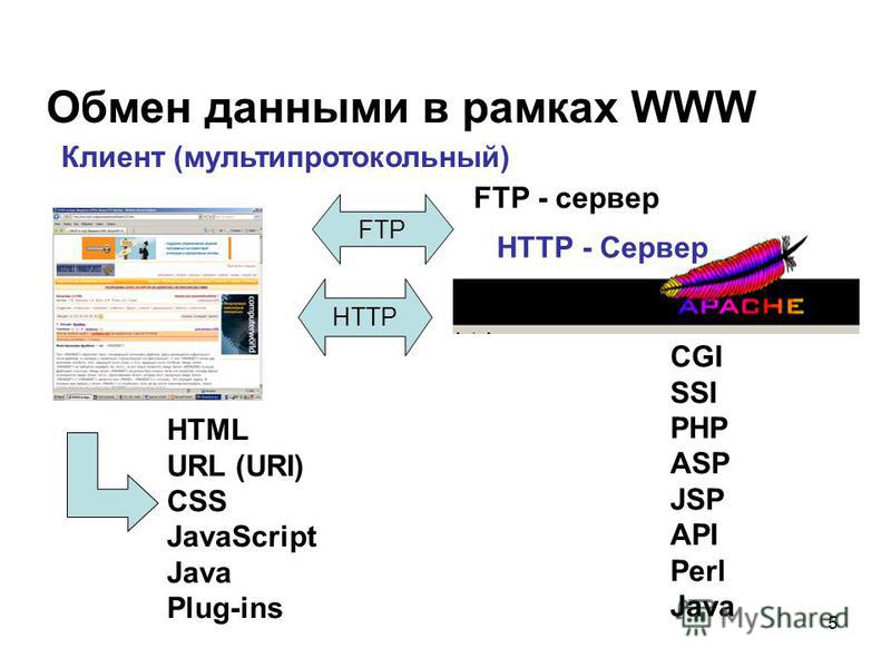 Html url картинки