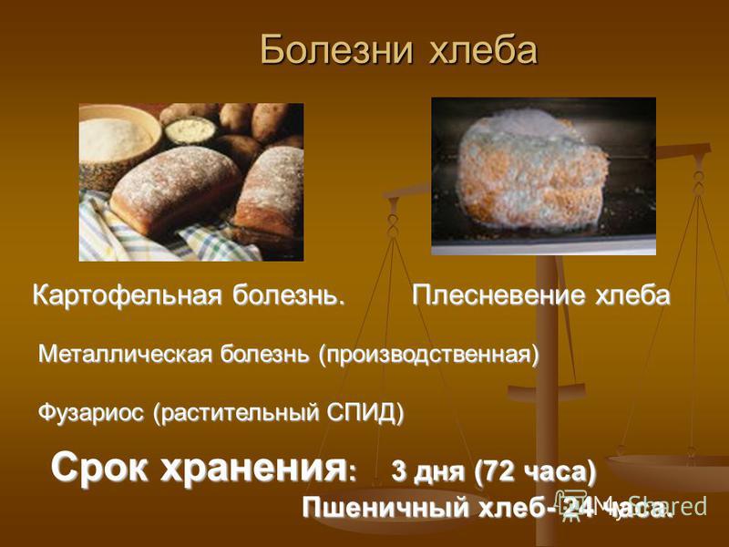 Болезни хлеба и хлебобулочных изделий. Хранение хлеба и хлебобулочных изделий. Срок годности хлеба. Картофельная болезнь хлеба признаки