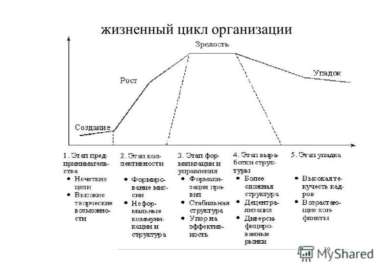 Схема жизненного цикла компании