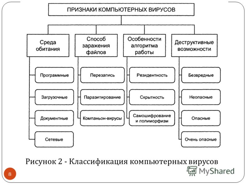 Схема виды вирусов