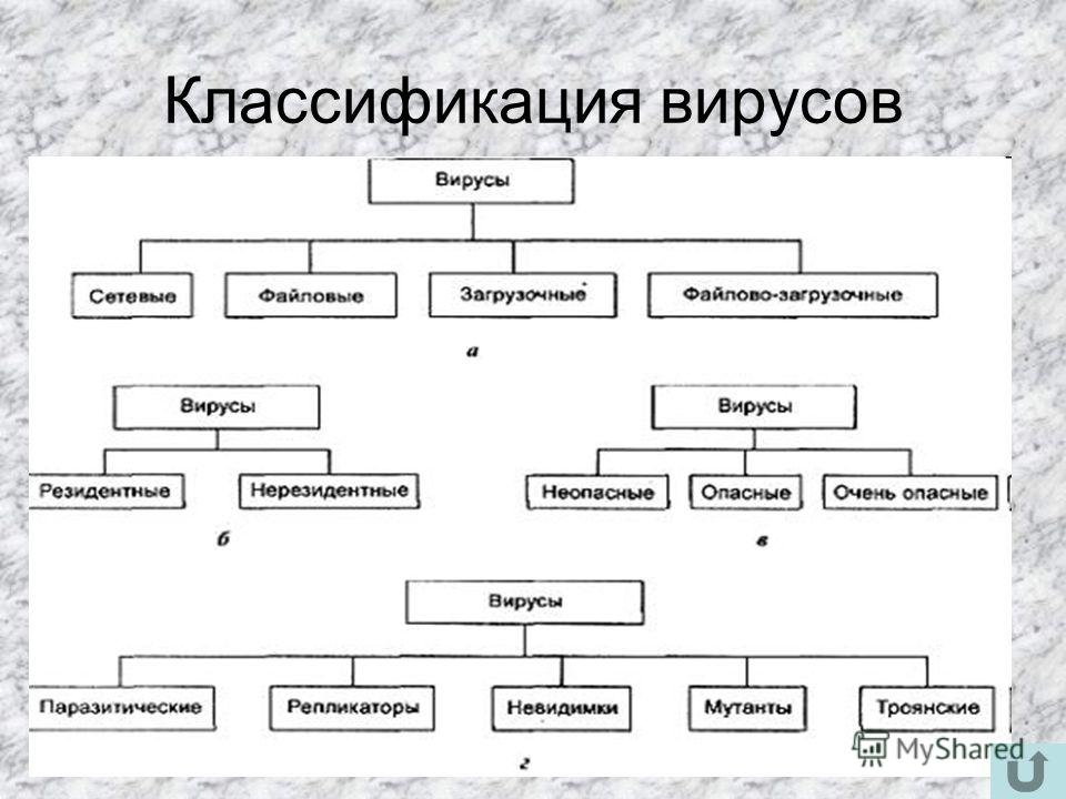 Классификация 3 видов. Классификация вирусов схема. Принципы классификации вирусов микробиология. Классификация вирусов биология. Характеристика классификация строения вирусов.