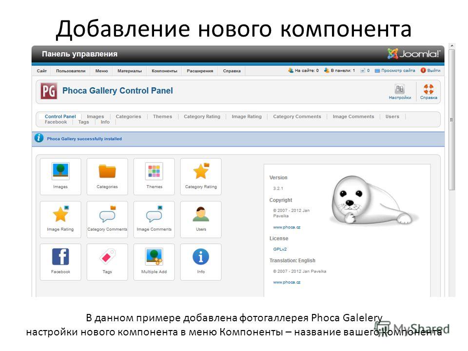 Где хранятся файлы сайта joomla