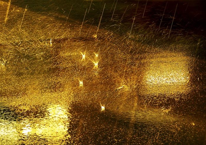 Золотой дождь кому. Золотой ливень. Дождь из золота. Золотистый дождь. Золотой дождь картинки.