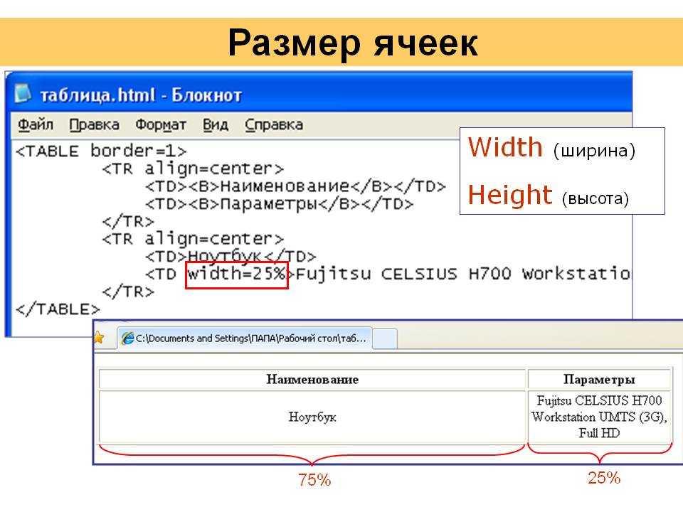 Ячейка таблицы css. Ширина ячейки CSS. Таблица html. Таблицы в html примеры. Размер таблицы в html.