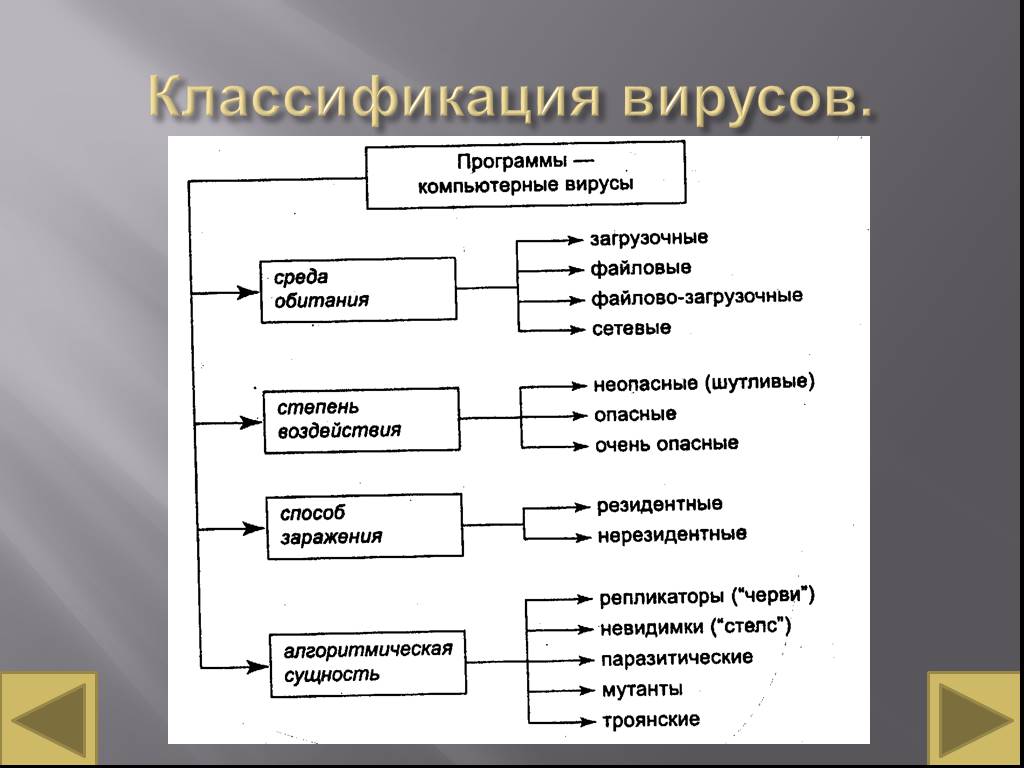 Классификация вирусов схема