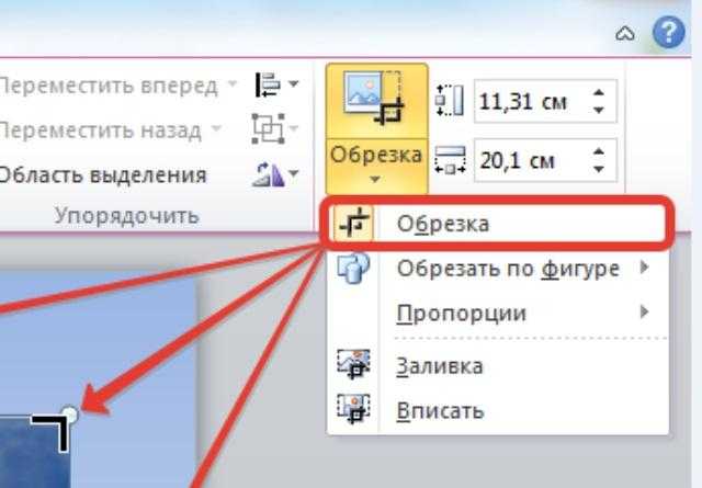 Как зеркально повернуть рисунок в презентации