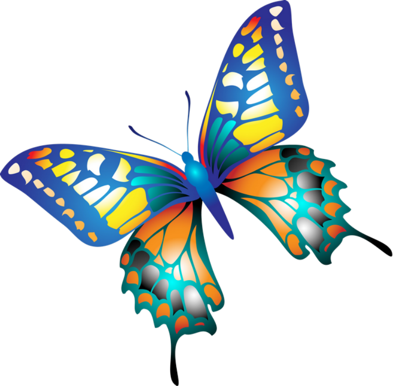 Клипарт бабочки на прозрачном фоне. Бабаочкинапрозрачномфоне. Яркие бабочки на белом фоне. Красивые бабочки на прозрачном фоне.