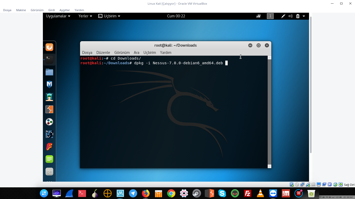 Virtualbox linux. Как установить kali Linux. Установка Кали линукс. Kali на VIRTUALBOX. Kali Linux на виртуальной машине.