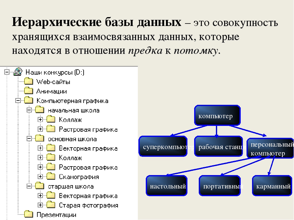 Иерархического способа организации данных. Иерархическая модель данных БД. Схема иерархической базы данных. Иерархическая структура баз данных. Иерархическая структура базы данных примеры.