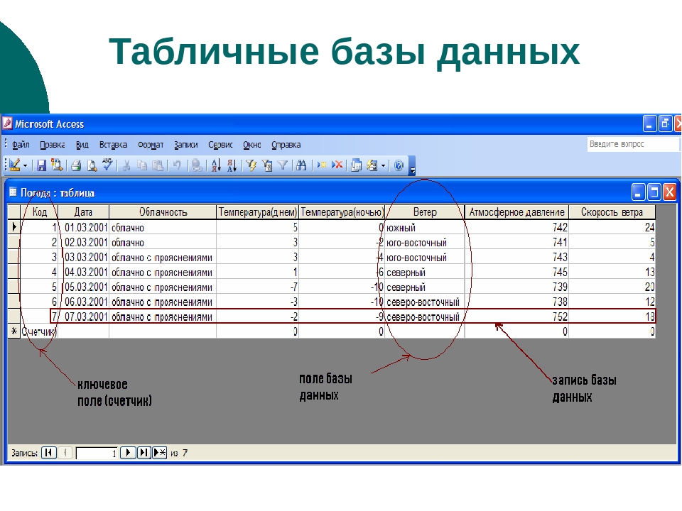 База данных учебные планы