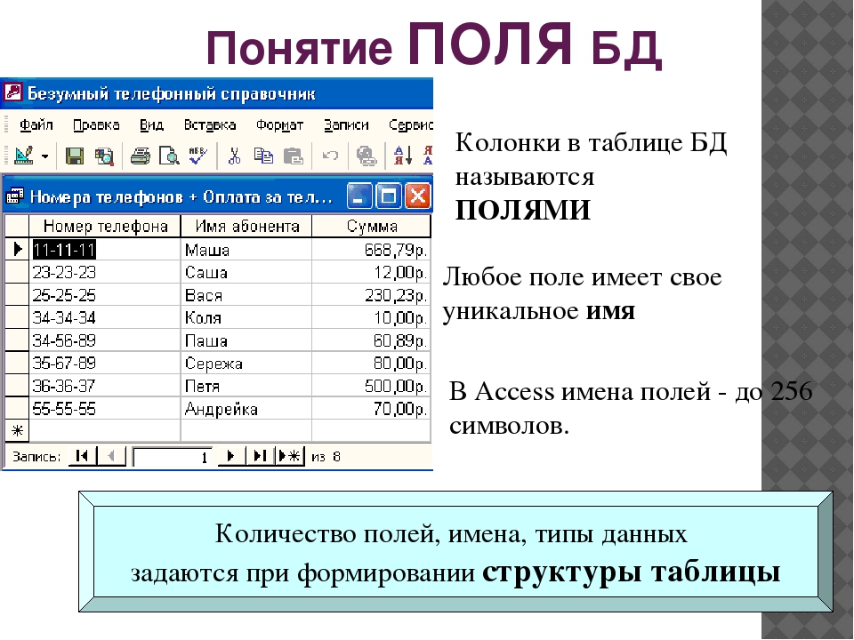 Куда давать данные. Типы данных в базе данных. Колонки в базе данных. Поле в таблице базы данных это. Типы полей таблицы базы данных.