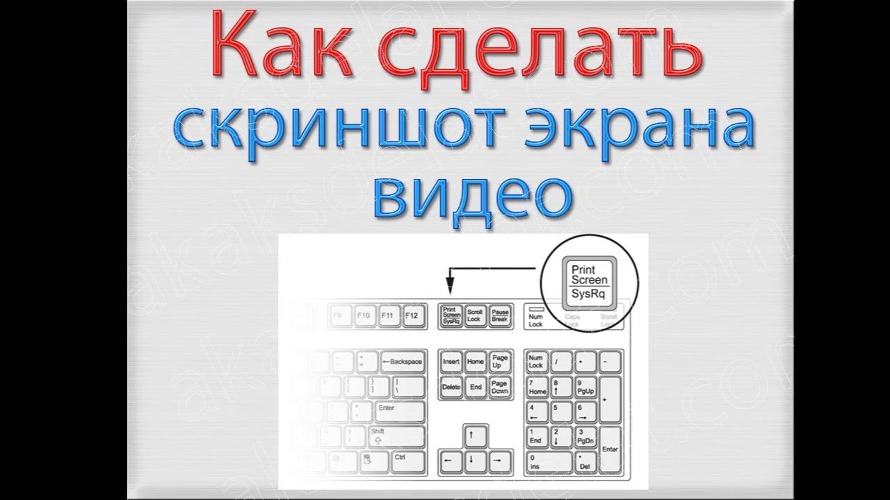 Сколько действий позволяет отменить сочетание клавиш ctrl z в paint