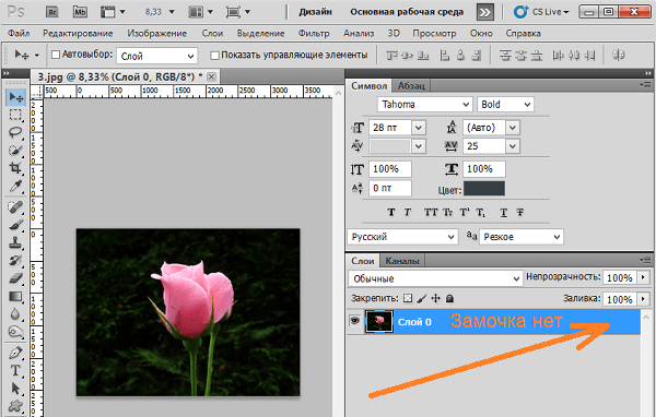 Распознать цветок по фото онлайн бесплатно без установки программ