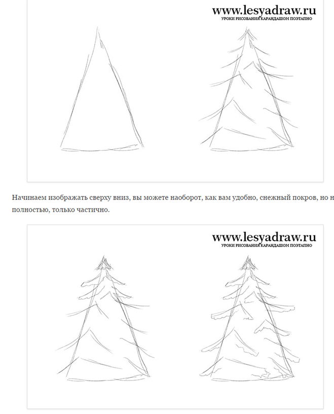 Как поэтапно нарисовать ель карандашом для начинающих