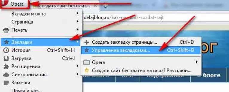 Вывести результаты запросов на страницу браузера