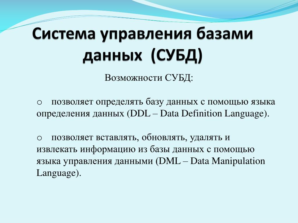 Что обязательно должно входить в субд процессор языка