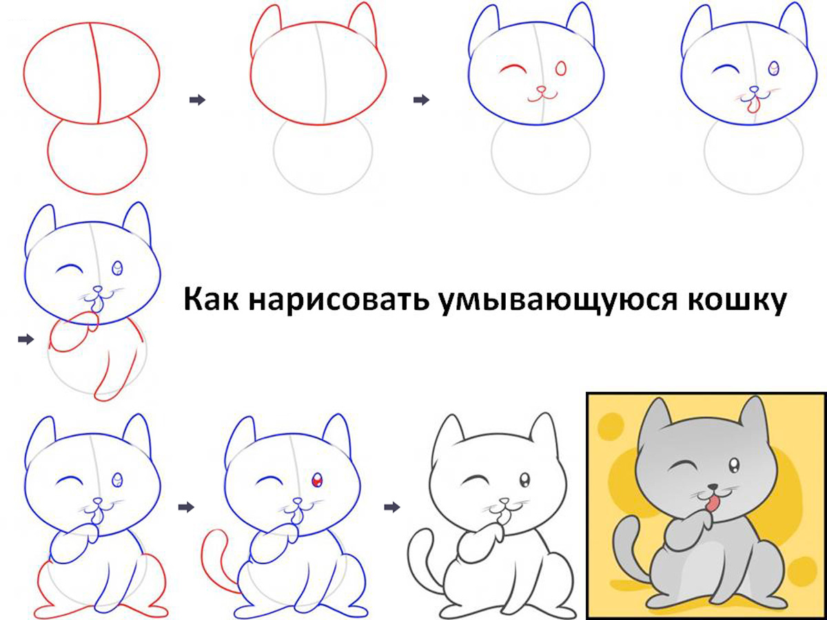 Пошаговая инструкция как нарисовать