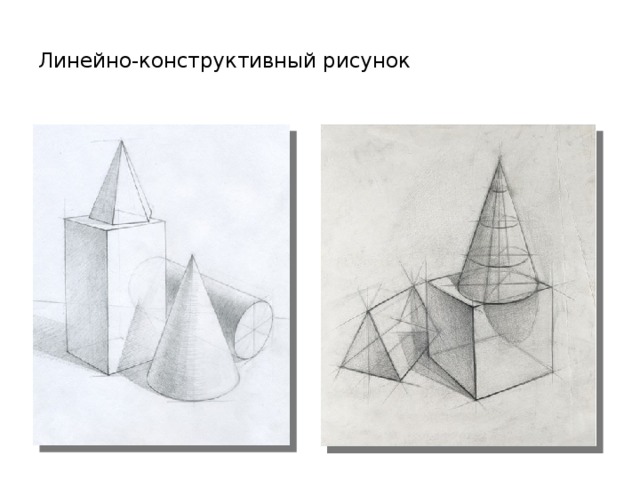 Рисунок в анфас