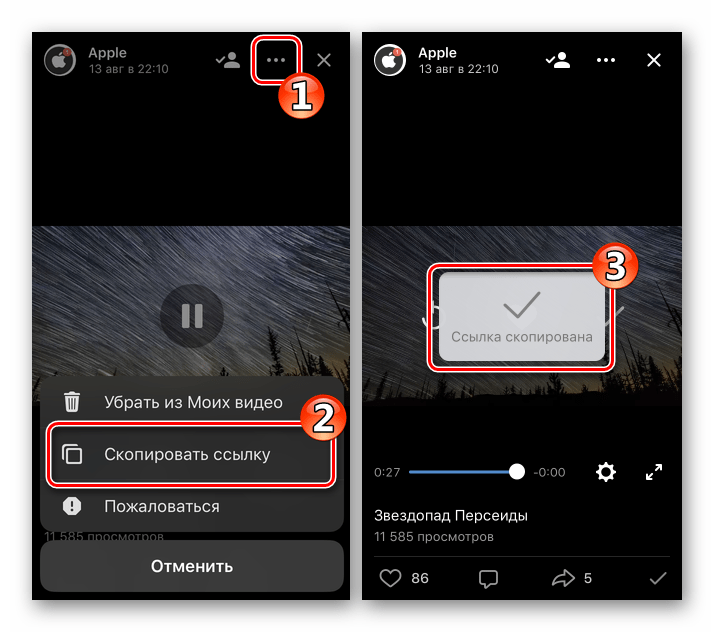 ВКонтакте для iOS копирование ссылки на видео для загрузки впоследствии