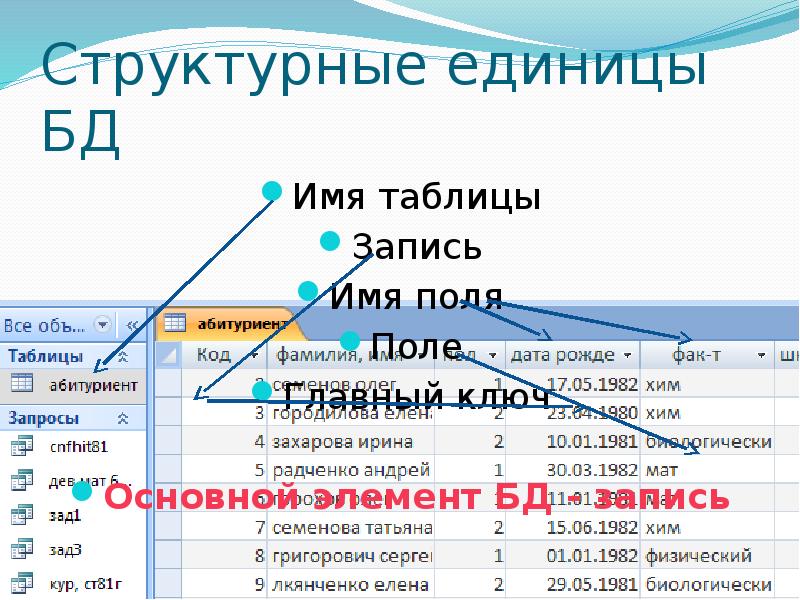 Что можно назвать базой данных