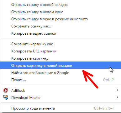 Url изображение что это