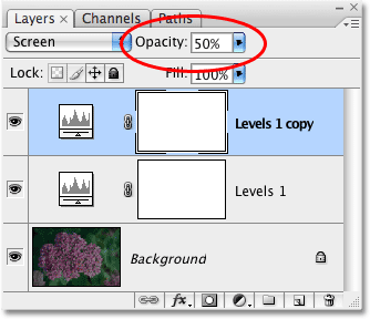 Changing the opacity setting of the Levels adjustment layer. Image © 2009 Photoshop Essentials.com.