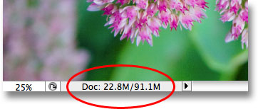 The Photoshop document is now four times its original file size. Image © 2009 Photoshop Essentials.com.