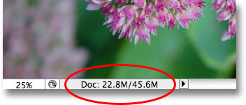 The size of the Photoshop document has now doubled. Image © 2009 Photoshop Essentials.com.
