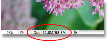 The size of the Photoshop document has now tripled. Image © 2009 Photoshop Essentials.com.