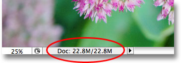 The file size of the Photoshop document remains unchanged. Image © 2009 Photoshop Essentials.com.