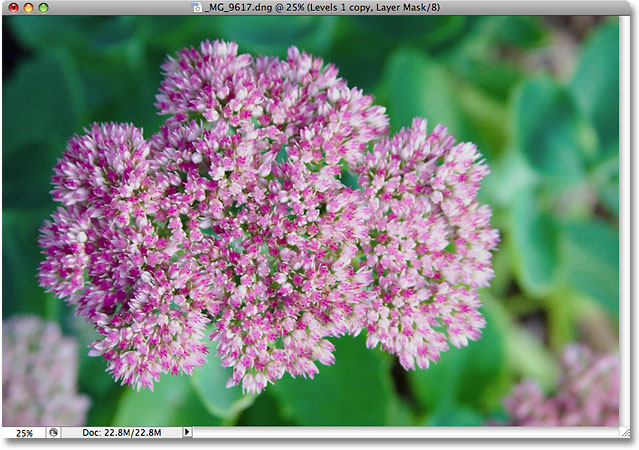The exposure of the photo has been corrected with adjustment layers. Image © 2009 Photoshop Essentials.com.
