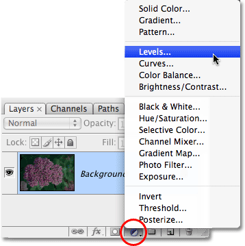 Selecting a Levels adjustment layer in Photoshop. Image © 2009 Photoshop Essentials.com.