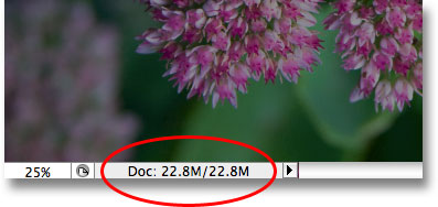 The document window displays the current size of the Photoshop document. Image © 2009 Photoshop Essentials.com.