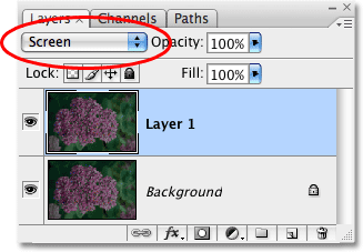 Duplicating the Background layer and changing the Blend Mode to Screen. Image © 2009 Photoshop Essentials.com.